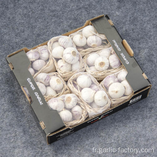 Ventes chaudes Solo Garlic